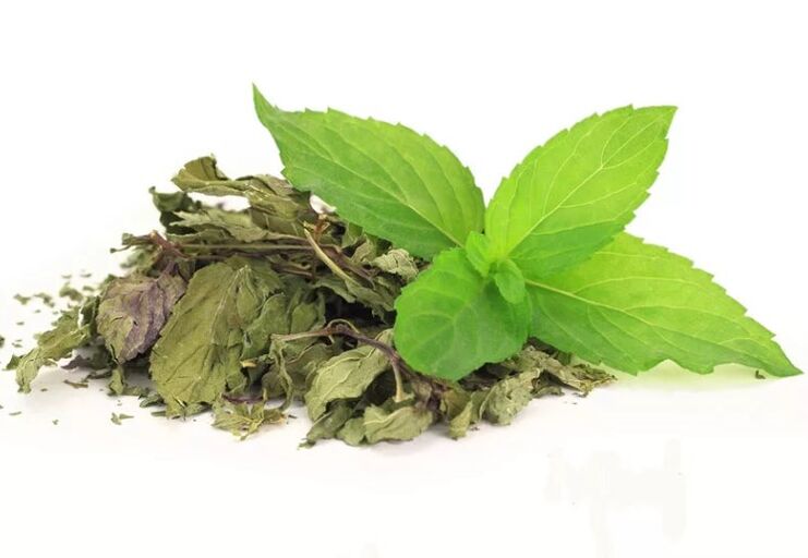 Groene thee bij Abslim